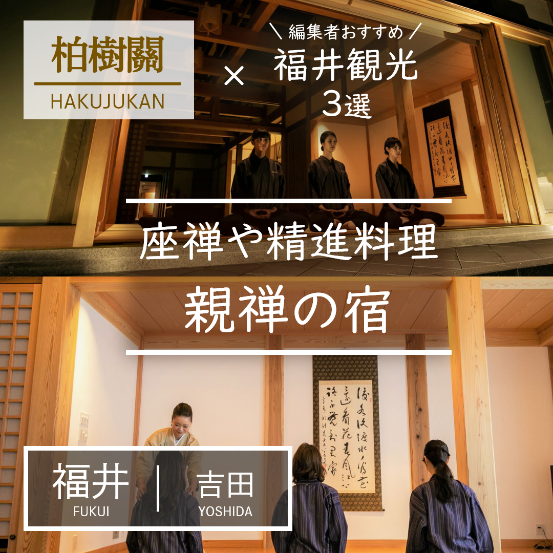 福井｜吉田｜旅館｜柏樹關